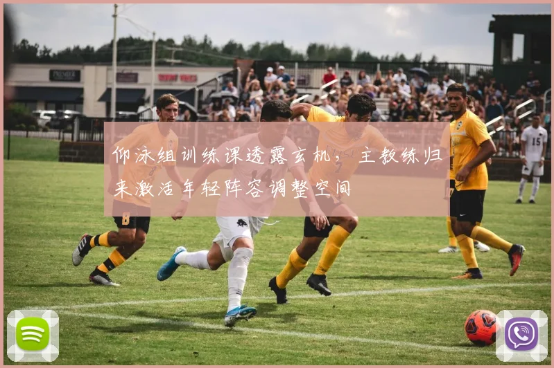 仰泳组训练课透露玄机，主教练归来激活年轻阵容调整空间