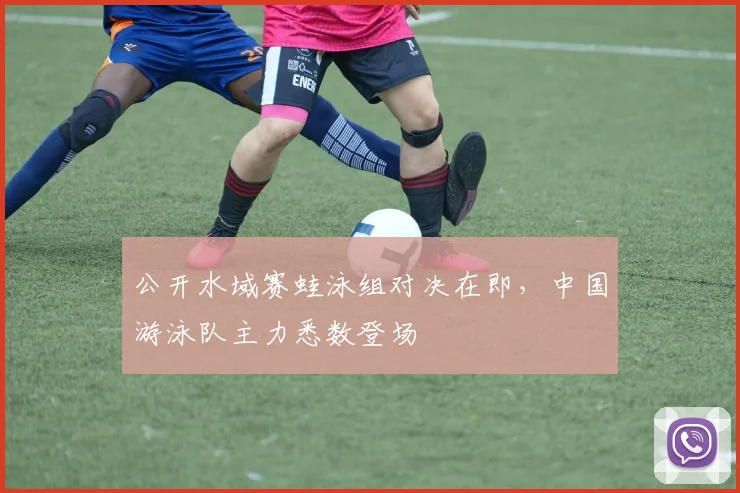 公开水域赛蛙泳组对决在即，中国游泳队主力悉数登场